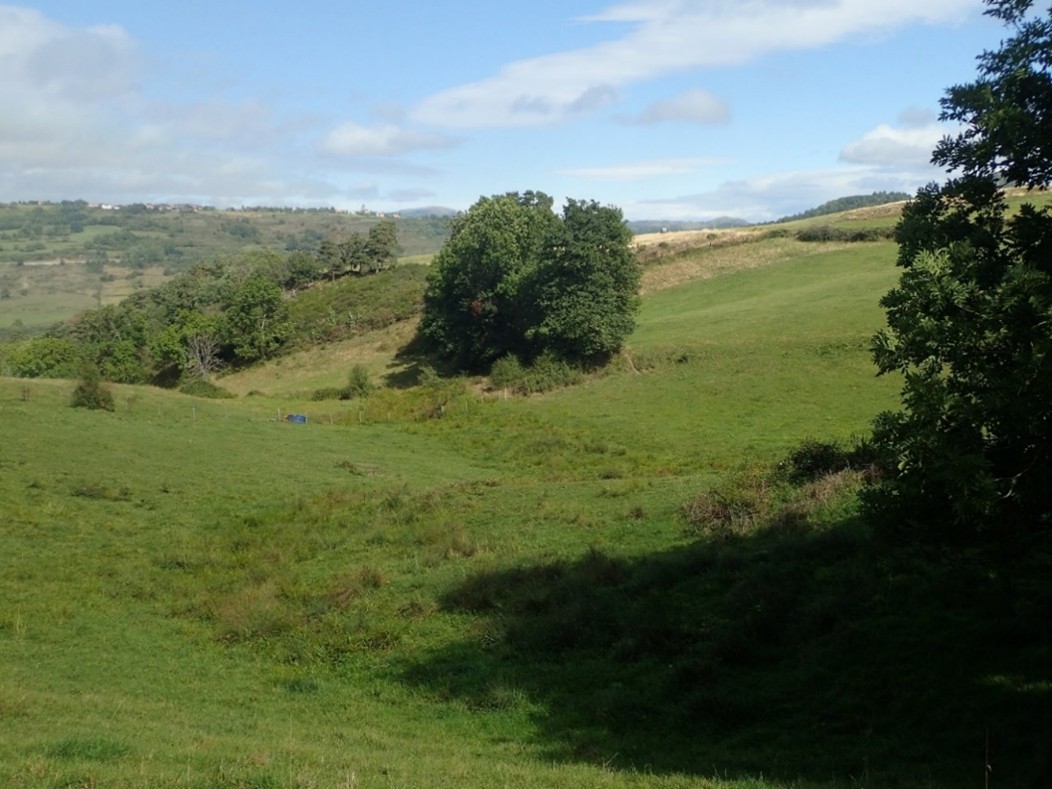 Inventaires de zones humides sur le bassin Allier aval